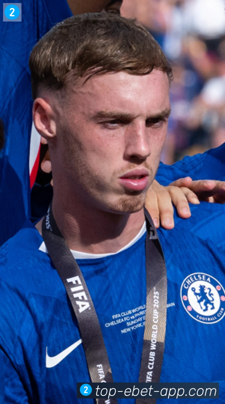 维尔茨